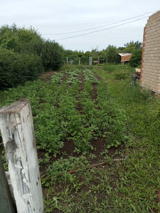 Продам дачный участок 5,соток п о  Зерендинской трассе с насаждениями