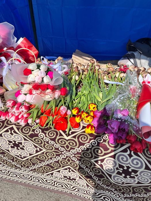 Тюльпаны свежие,пишите в ватсап