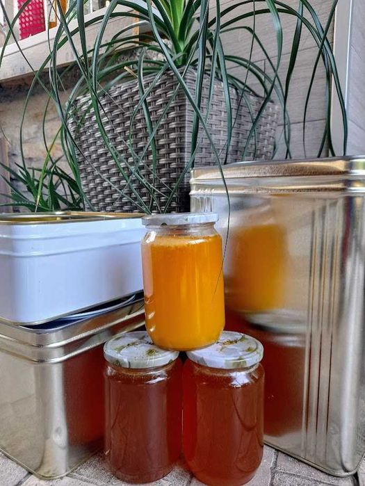 Натурален пчелен мед букет реколта 2025г.