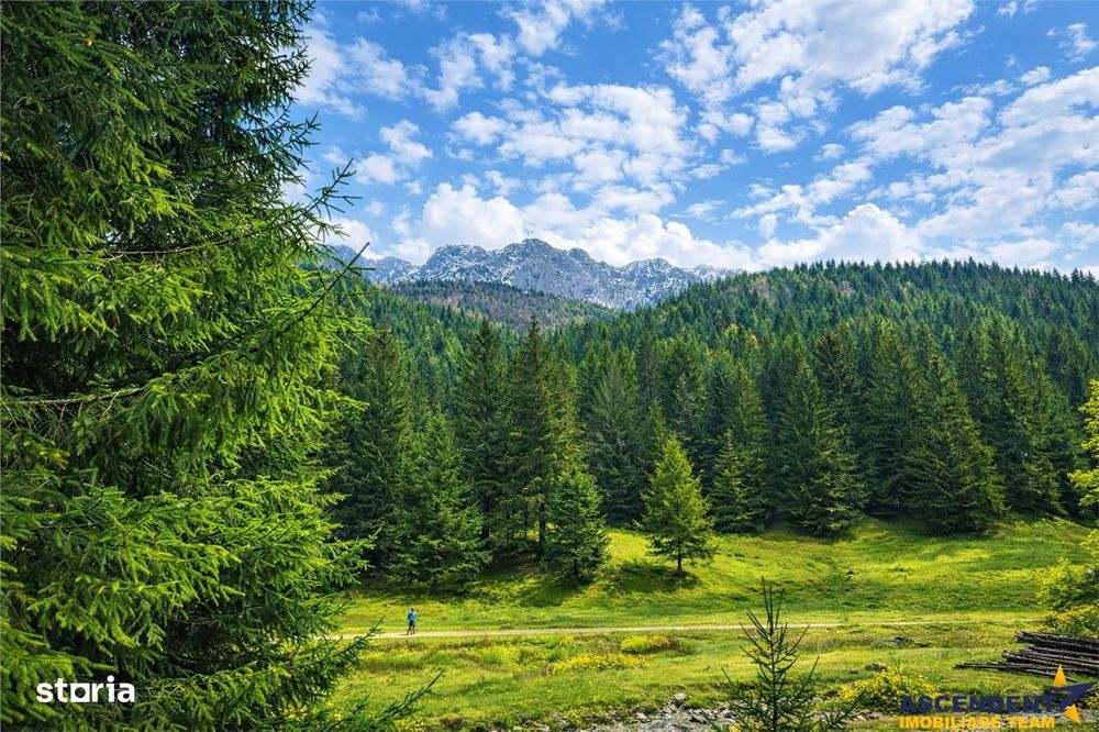 Teren intravilan panoramic 4.600mp,view iconic Piatra Craiului,oportun