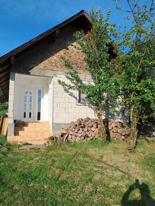 Vand casa Nanesti