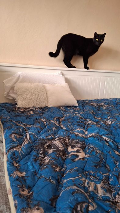 Луксозно мериносoво одеяло Medico+ Merino Clima (Германия)