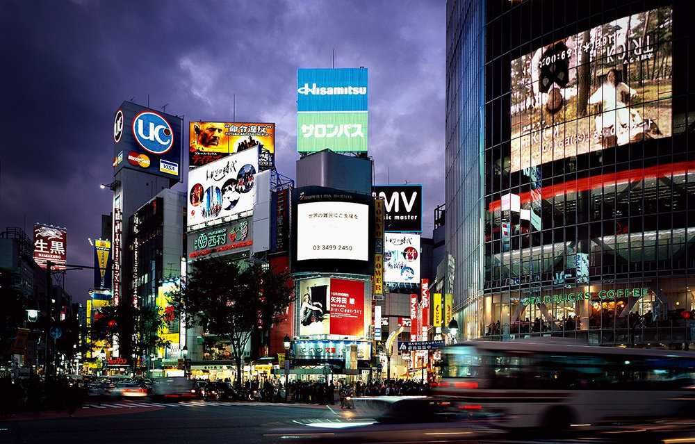 Bukva Laytboks Stella Svetovoy Korb Banner