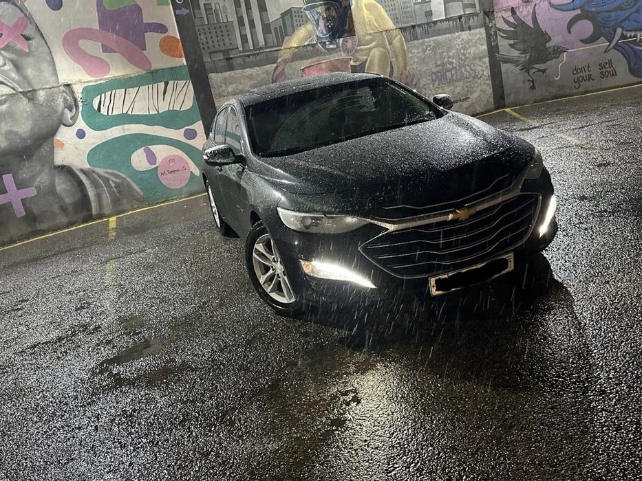 Malibu Arendaga Tozza