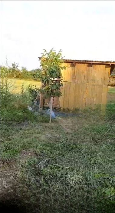 Teren intravilan in sat Obad