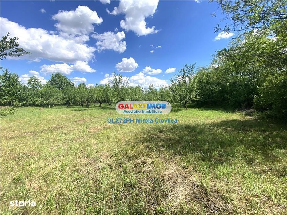 Vanzare teren intravilan Baicoi Prahova