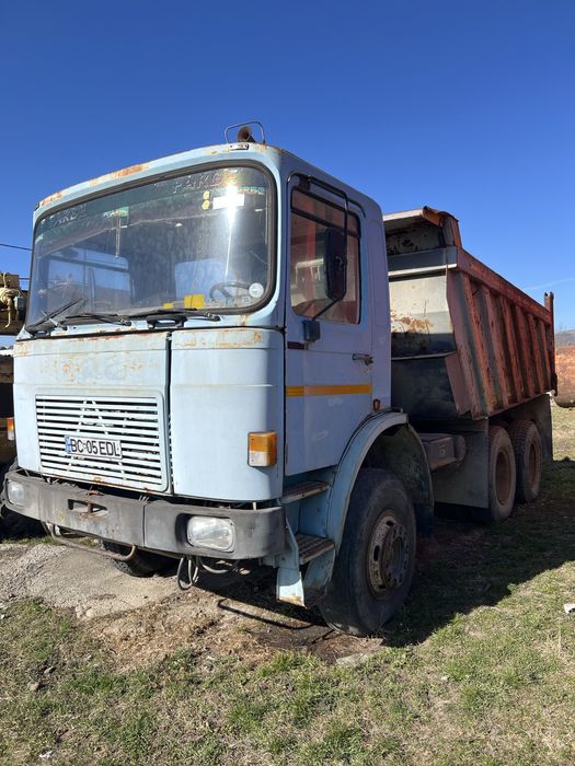 Raba basculanta Roman