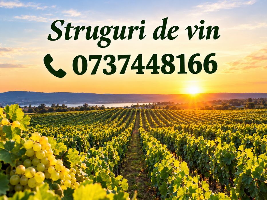 Vand struguri de vin
