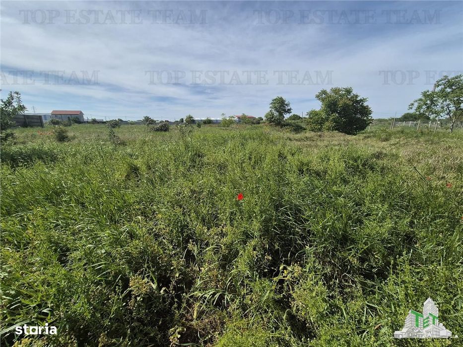 Teren intravilan zona Viile noi-km5