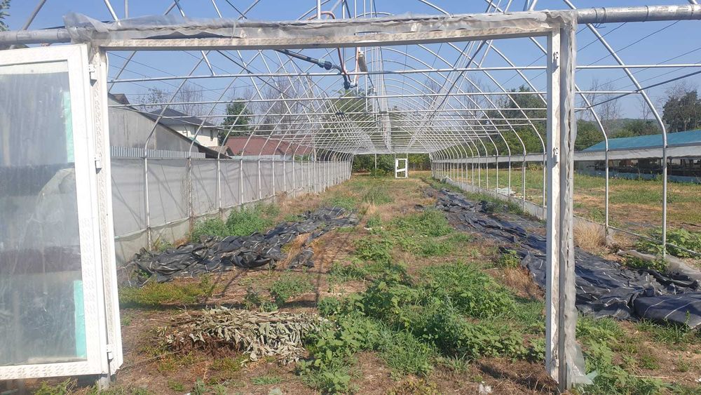 Schelet metalic pentru solar 8m latime,50m lungime,5m inaltime