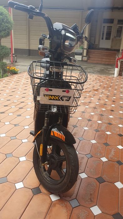 Skuter xolati zur