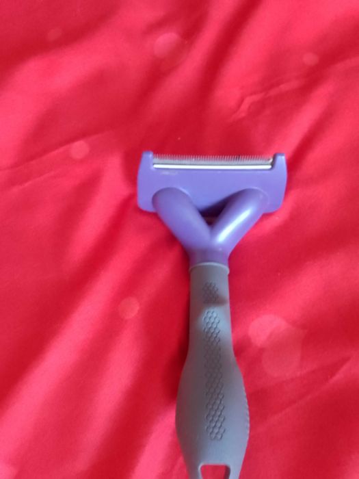 Vand aparat FURMINATOR blana pisici gen Maine Coon