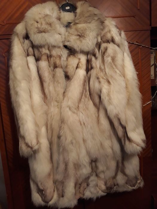 Haina de vulpe argintie