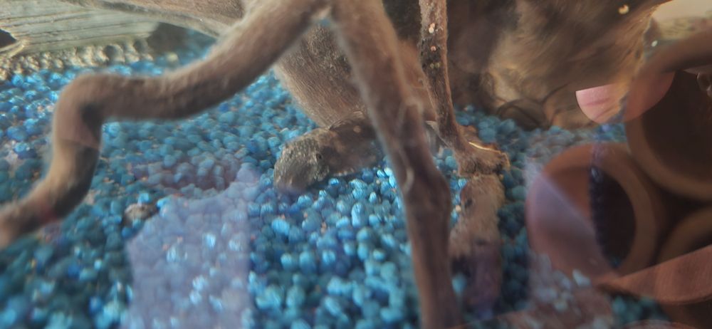 Acvariu cu pesti și accesori