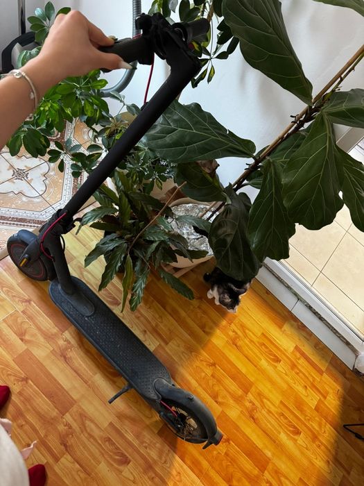 Vand trotineta electrica