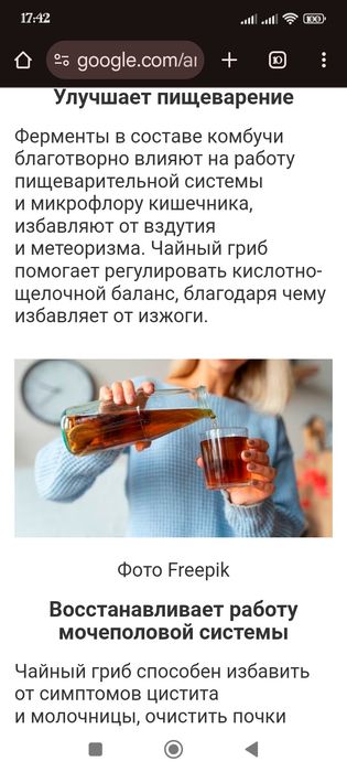 Лечебный -Гриб чайный