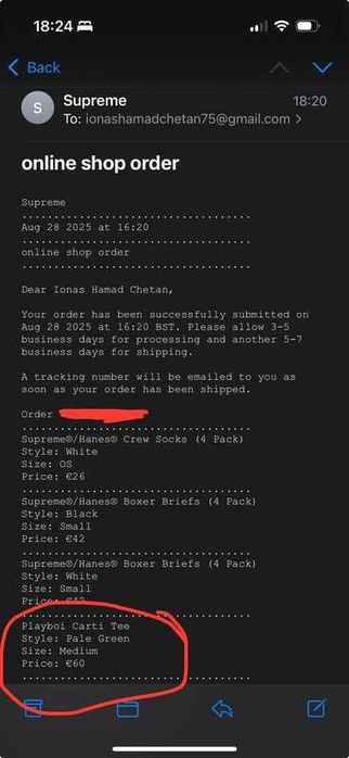 Supreme Playboi Carti Tee Pale Green