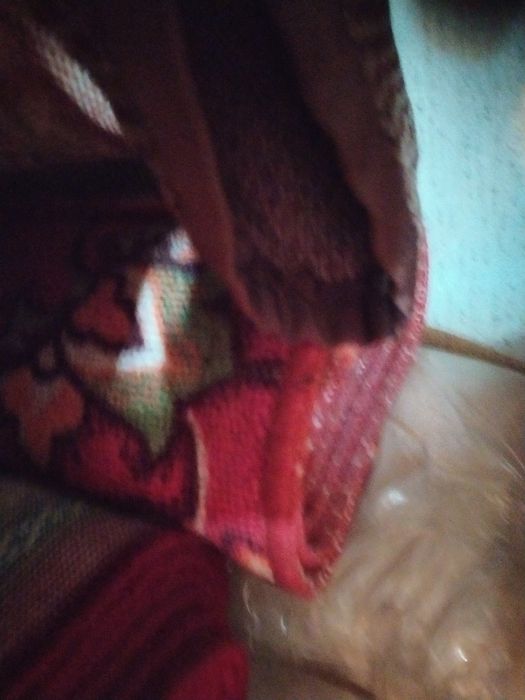 Новый ковер палас Германия