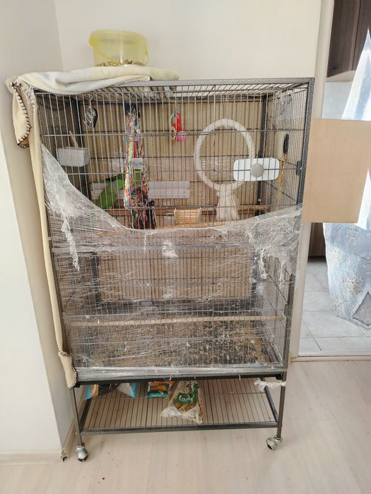 Vand colivie pt papagali