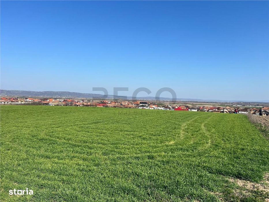 RECO Teren extravilan in Cheriu, Bihor