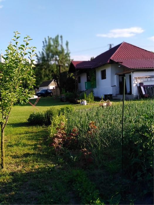 Casă la țară de vânzare