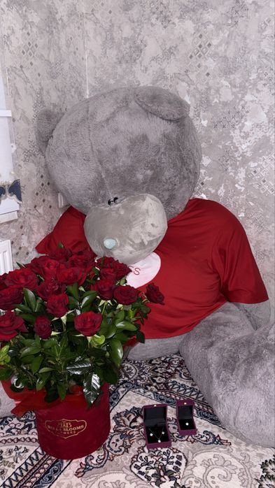 Teddy ayiq sotiladi xolati yangi bo’yi 2 metr