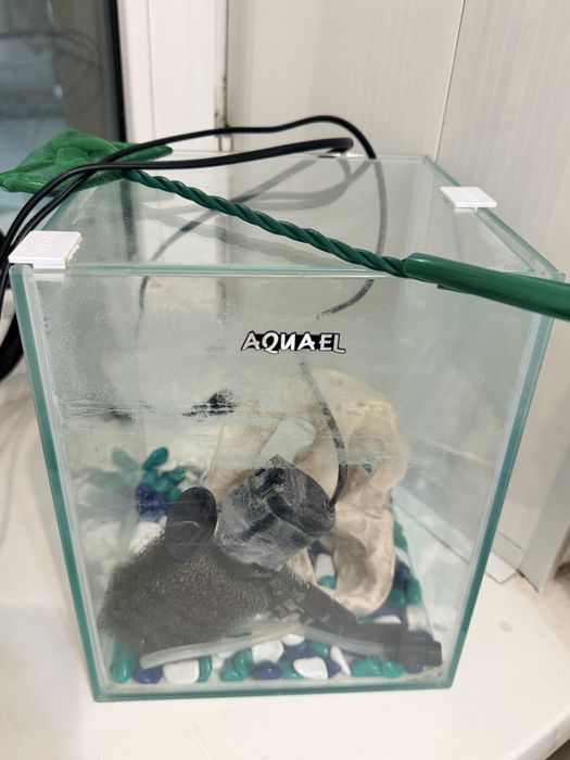 Аквариум для рыб