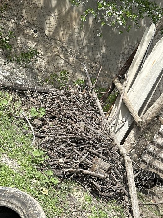 Агаш, отын, дрова