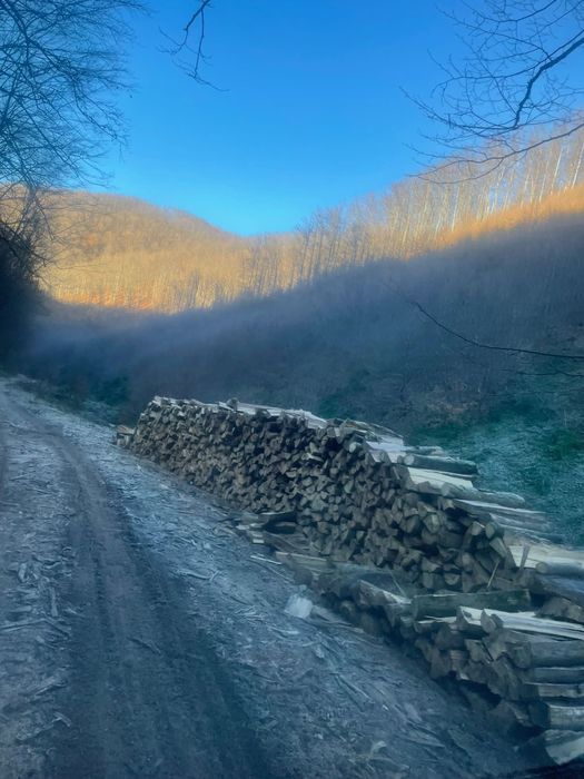 Lemne de foc de cea mai bună calitate