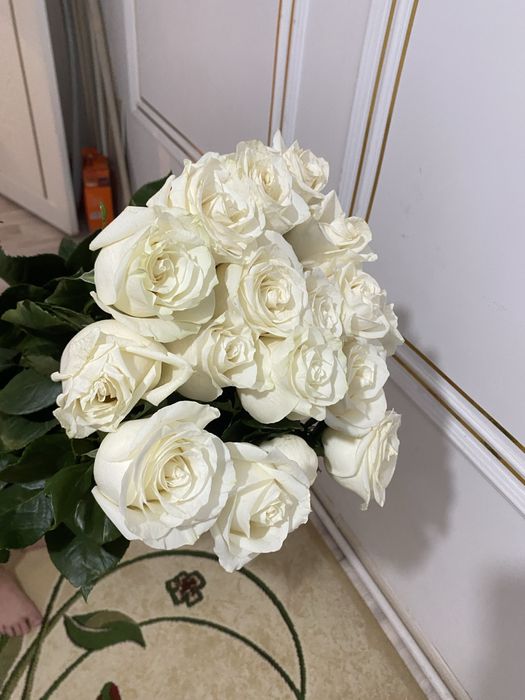 Продам Цветыы,Роза