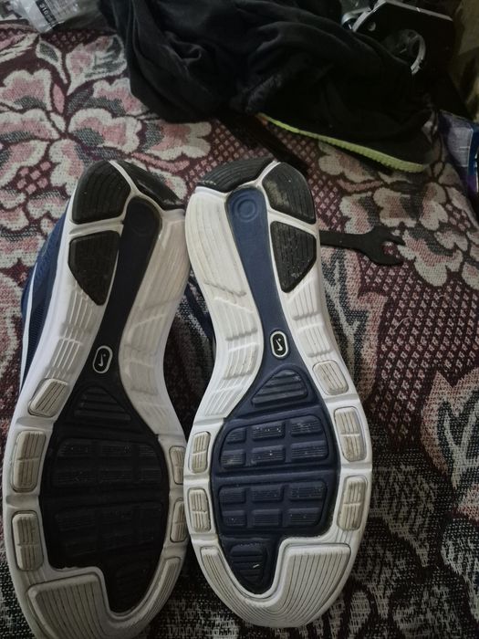 Красовка летние наик