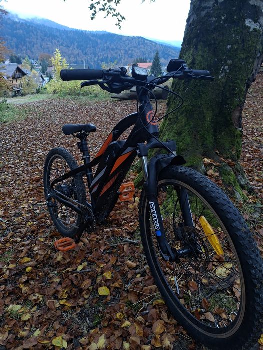 bicicleta Blaunpunkt Prophete 51721