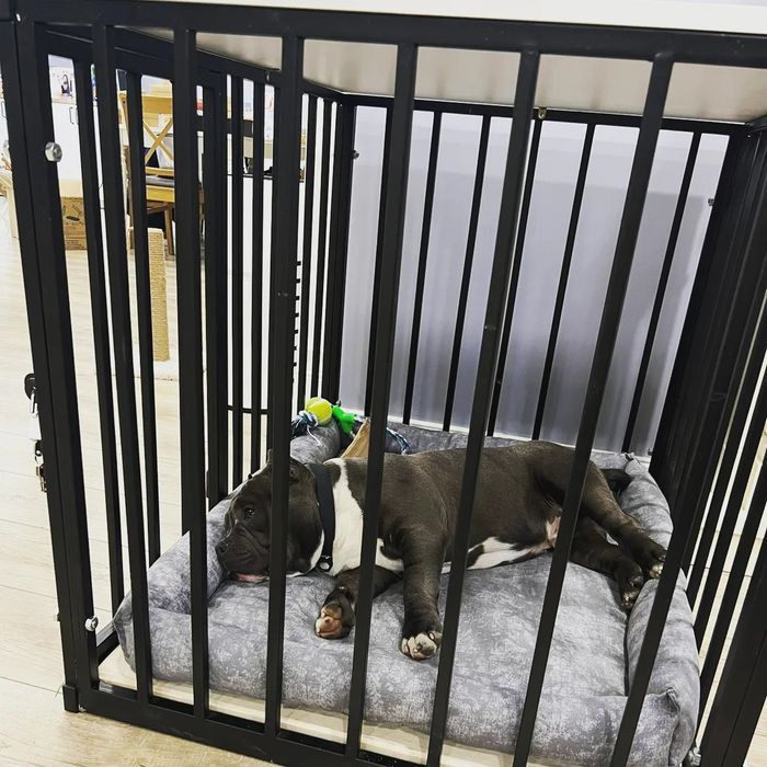 Домашние вольеры для собак