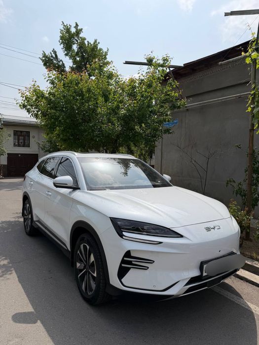 BYD Song Plus EV Champion 2024