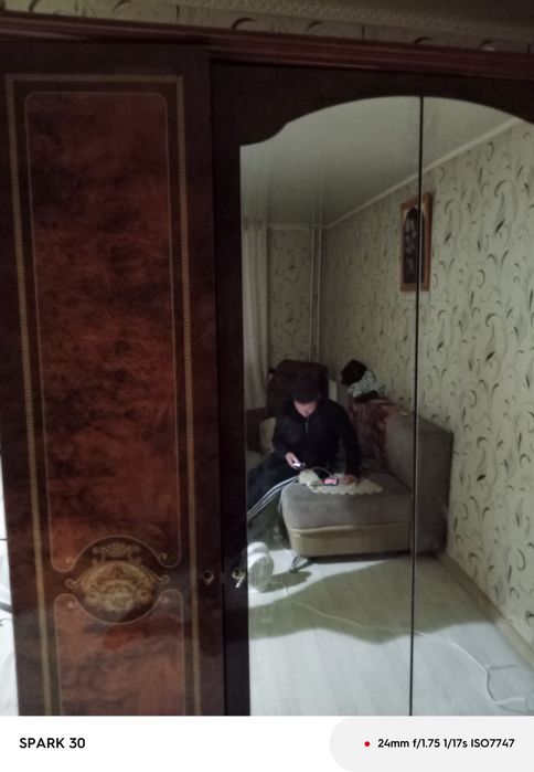 Шкаф плателный палерованый