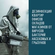 Дезинфекция Дизинфексия klapa таракан уничтожение