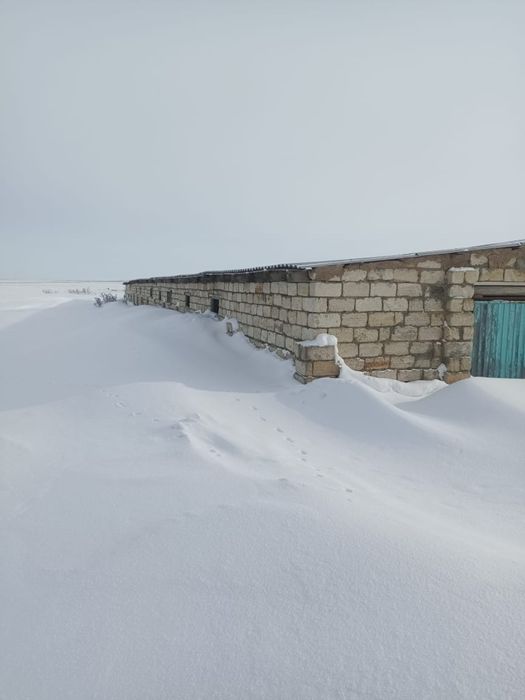 Продам крестьянское хозяйство