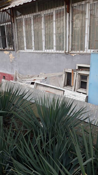 Отин срочно сотилади  бир Лабо дан купрок