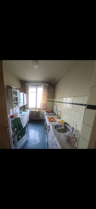 Colentina Teiul Doamnei 3 camere