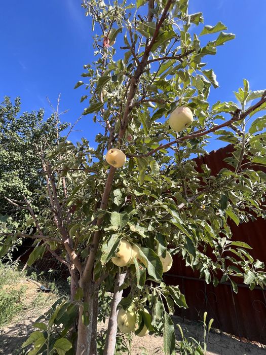 Продаётся частный 2-этажный дом