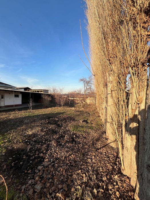Toshkent viloyati, Oʻrtachirchiq tumanida, Hovli 10 sotix