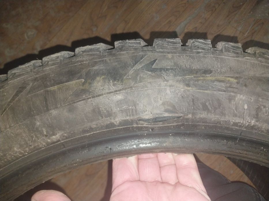 шина r21. шипованная