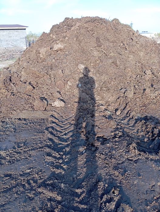 Продам Навоз говяжий