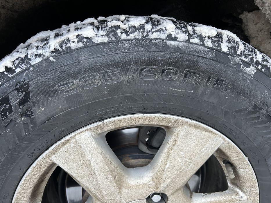Шины зимние, шипованные