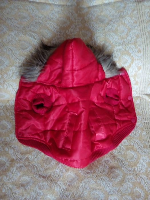 Грейка, якенце за куче