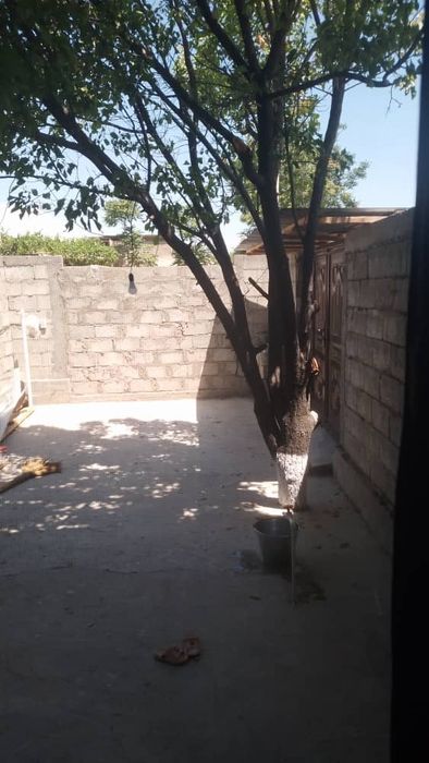 Ховлича сотилади динамо колода 1ст