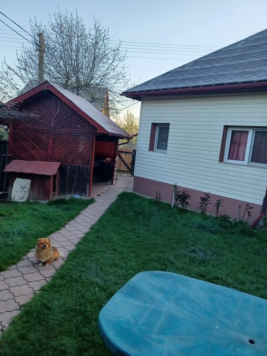 Casa la curte Livezeni Arges
