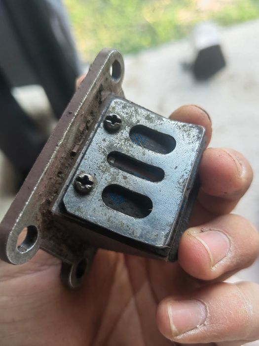 Muzicuta am6 polini carbon