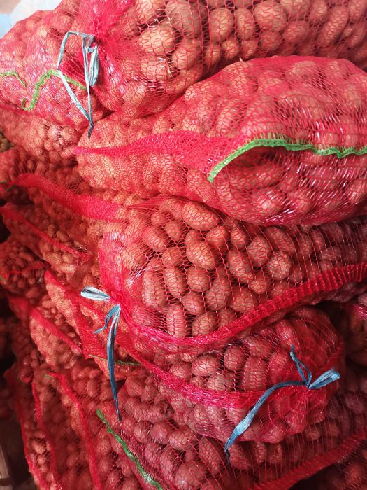 Vând cartofi pentru animale.