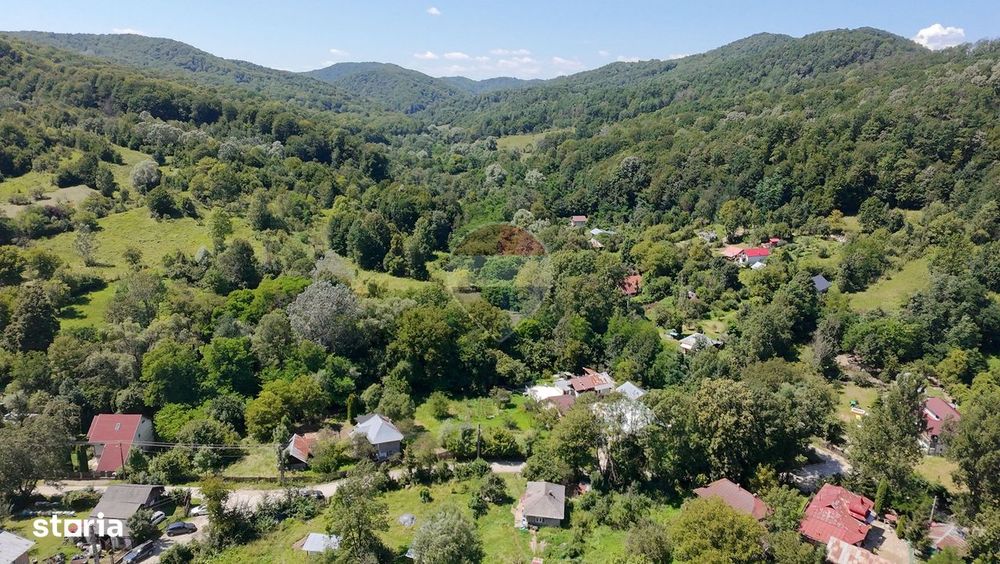 Teren Intravilan 8.277 mp Provița de Jos – Utilități, Râu & Pădure